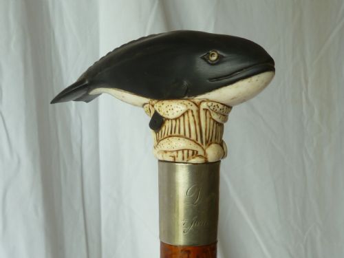 bone horn handle walking stick carved novelty whale - CATEGORY: ANTIQUE MISCELLANEOUS - DATED 1910