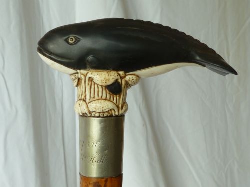 BONE HORN HANDLE WALKING STICK CARVED NOVELTY WHALE - ADDITIONAL PHOTO 1