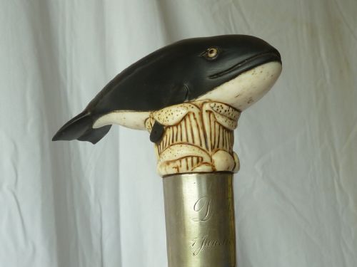 BONE HORN HANDLE WALKING STICK CARVED NOVELTY WHALE - ADDITIONAL PHOTO 4