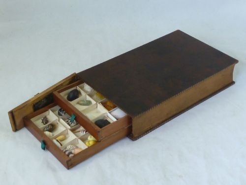regency sea shell collection display book box burr yew wood valentine - CATEGORY: ANTIQUE MISCELLANEOUS - DATED 1800