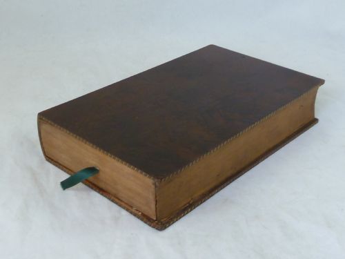 REGENCY SEA SHELL COLLECTION DISPLAY BOOK BOX BURR YEW WOOD VALENTINE - ADDITIONAL PHOTO 4
