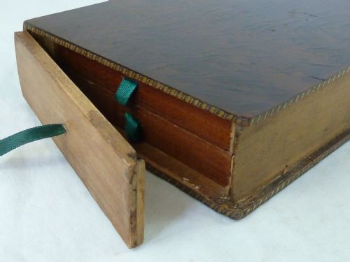REGENCY SEA SHELL COLLECTION DISPLAY BOOK BOX BURR YEW WOOD VALENTINE - ADDITIONAL PHOTO 5