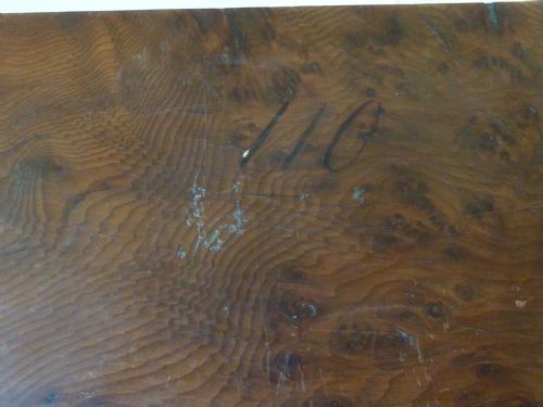 REGENCY SEA SHELL COLLECTION DISPLAY BOOK BOX BURR YEW WOOD VALENTINE - ADDITIONAL PHOTO 9