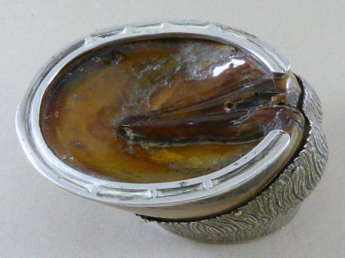 VICTORIAN HORSE HOOF HALLMARKED SOLID SILVER MOUNT INKSTAND DERVISH 1923 TAXIDERMY INKWELL - ADDITIONAL PHOTO 5