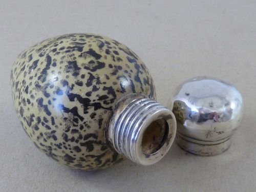 1886 NOVELTY BIRDS EGG PERFUME SCENT BOTTLE MACINTYRE CS FS 20772 - ADDITIONAL PHOTO 4