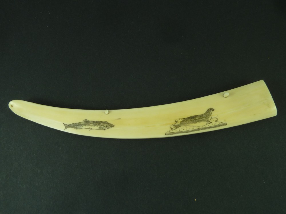 Scrimshaw Inuit Crib Board Walrus Tusk Marine Ivory Eskimo View VI