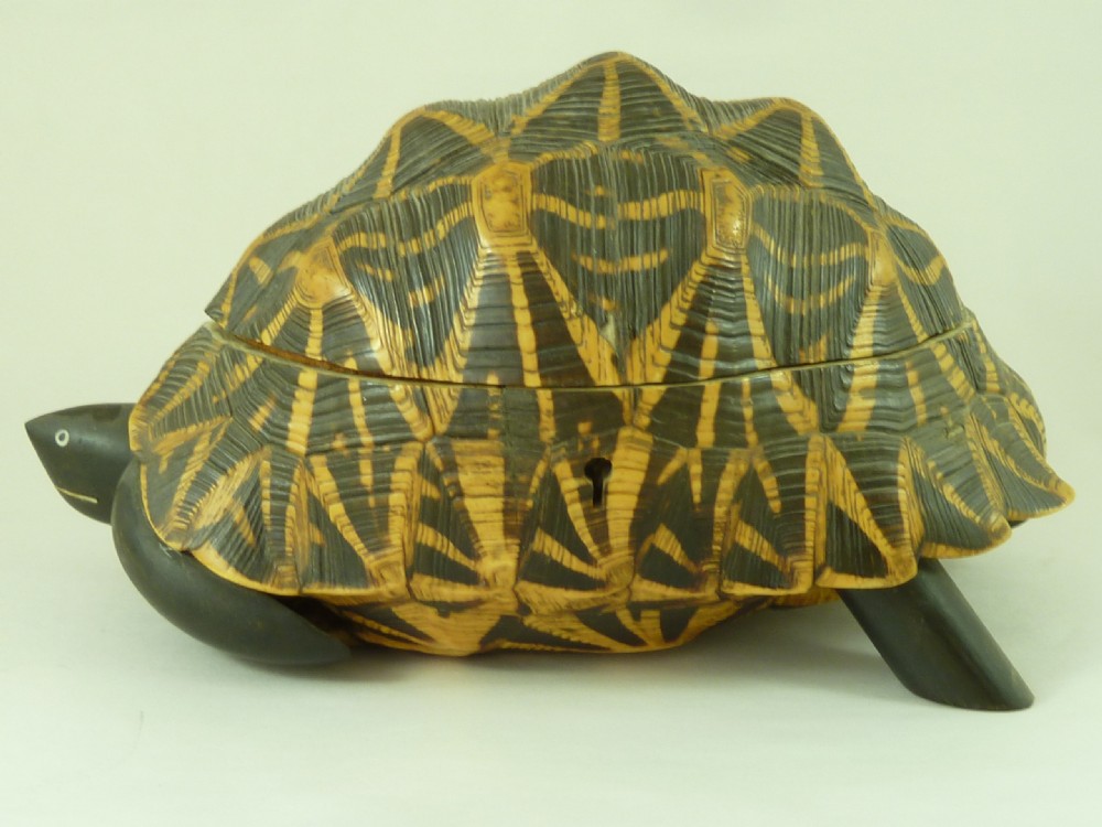 Anglo Indian Star Tortoise Box Inlaid Ebony Trinket Jewellery Taxidermy View II