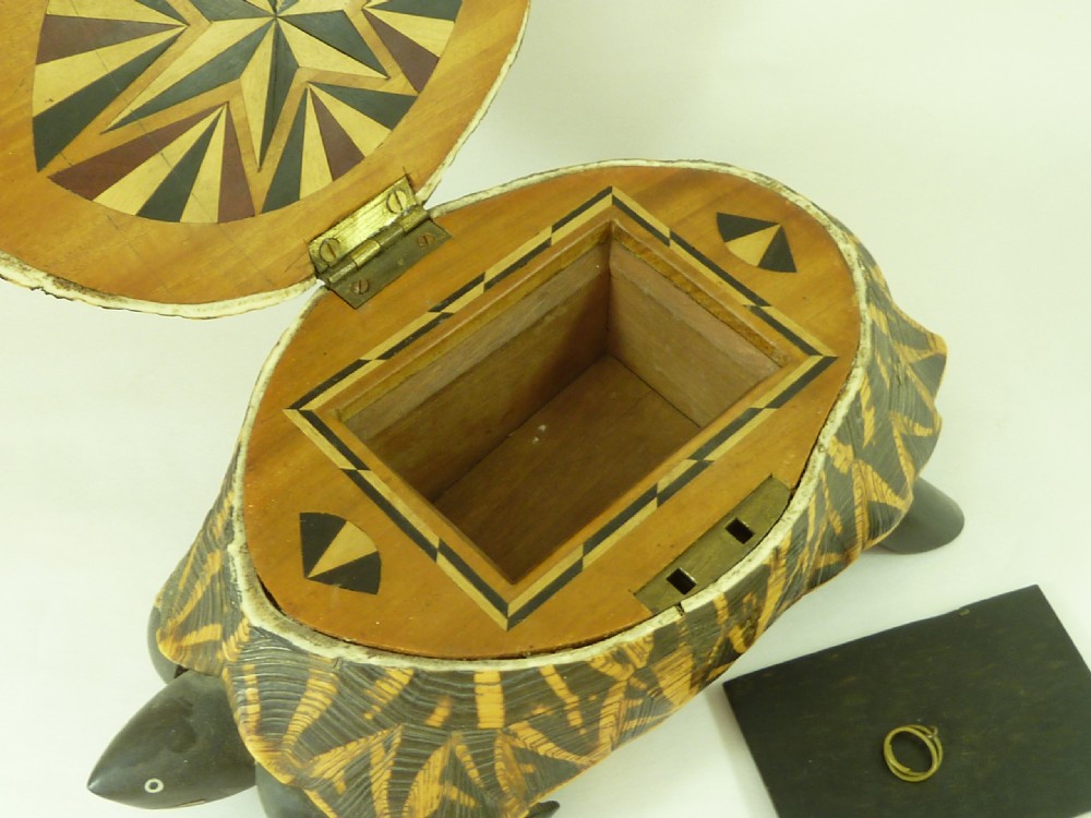 Anglo Indian Star Tortoise Box Inlaid Ebony Trinket Jewellery Taxidermy View IV