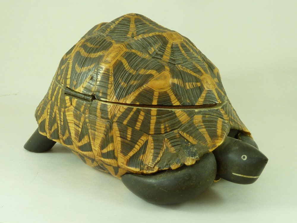 Anglo Indian Star Tortoise Box Inlaid Ebony Trinket Jewellery Taxidermy View V