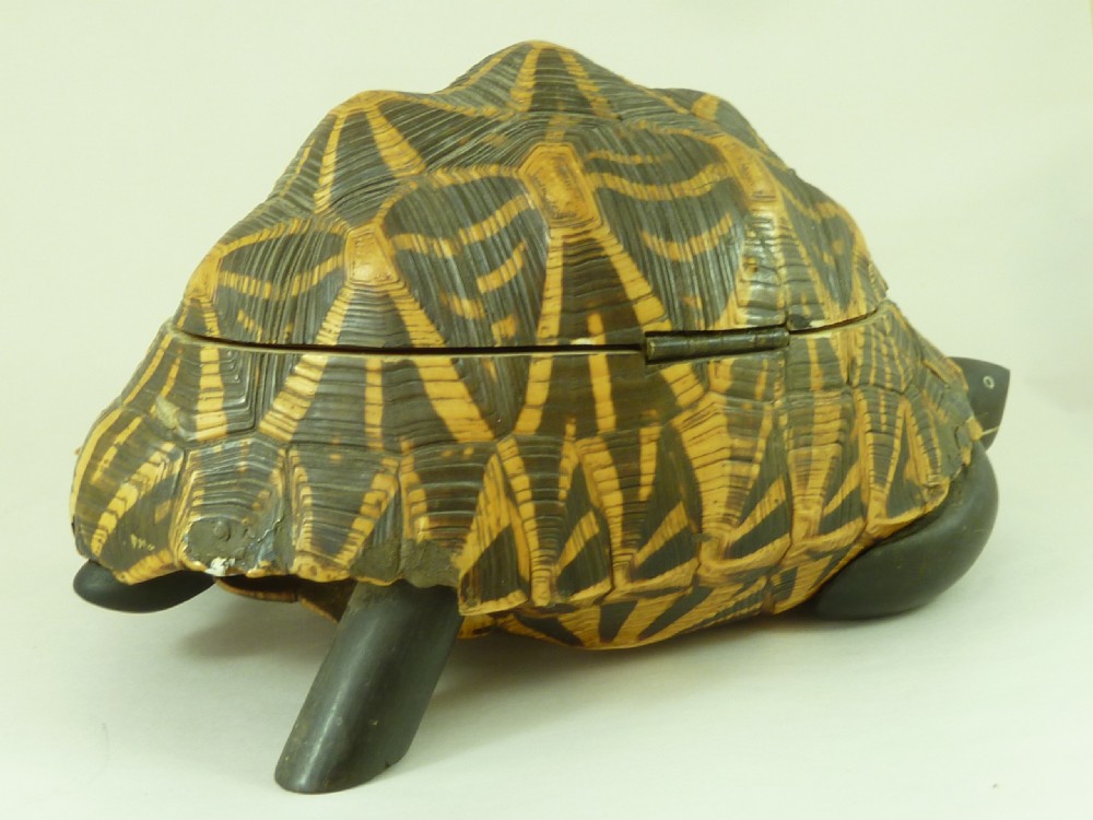 Anglo Indian Star Tortoise Box Inlaid Ebony Trinket Jewellery Taxidermy View VI