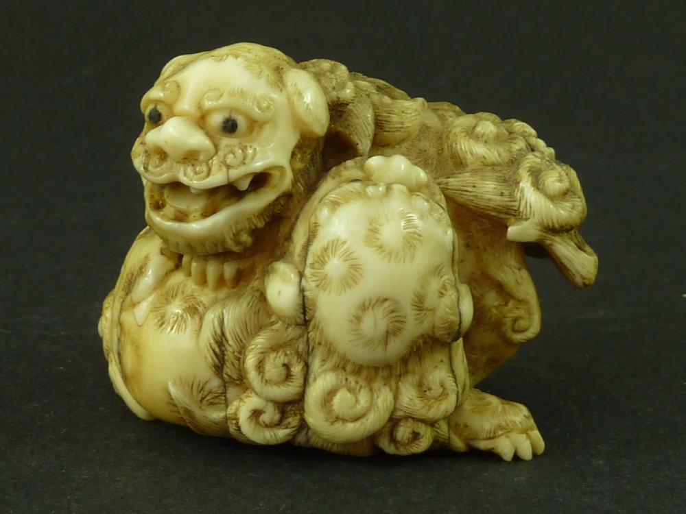 Japanese Sea Ivory Netsuke Dog of Fo ShiShi Lion Carved Antique