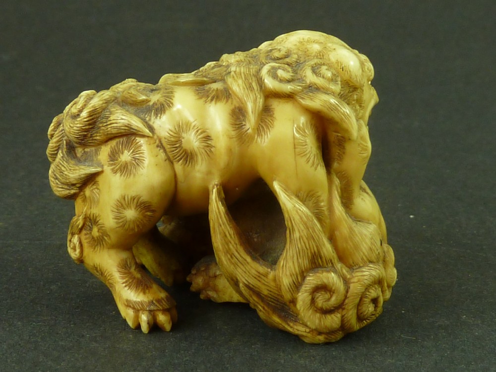 Japanese Sea Ivory Netsuke Dog of Fo ShiShi Lion Carved Antique View IV