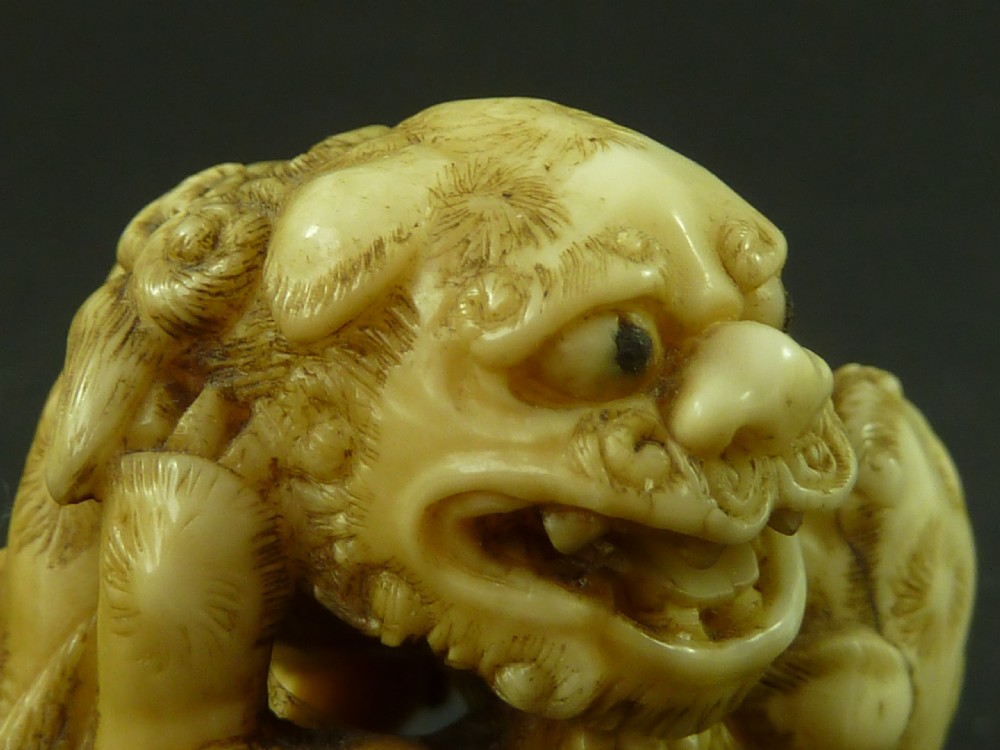 Japanese Sea Ivory Netsuke Dog of Fo ShiShi Lion Carved Antique View VII