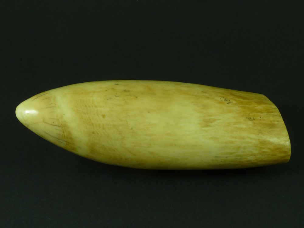Original Antique Whale Tooth Sailors Scrimshaw Folk Art Fashion Lady View III