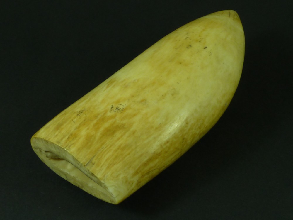 Original Antique Whale Tooth Sailors Scrimshaw Folk Art Fashion Lady View IV