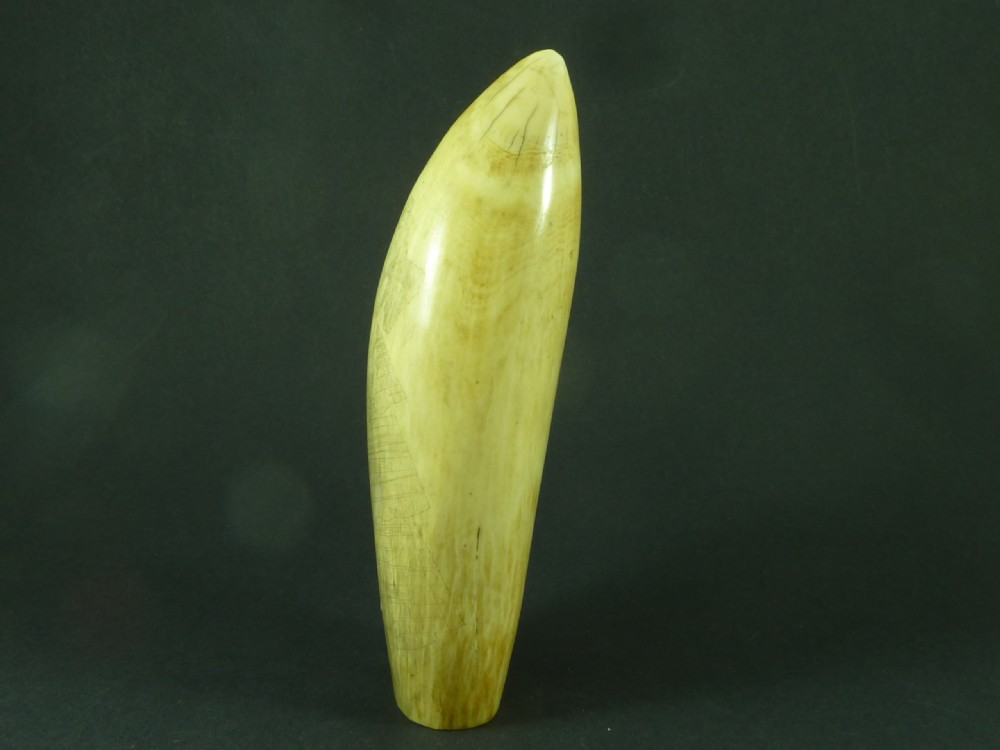 Original Antique Whale Tooth Sailors Scrimshaw Folk Art Fashion Lady View VIII