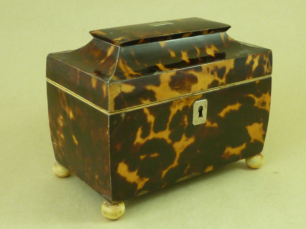 Georgian Tortoiseshell Tea Caddy View II