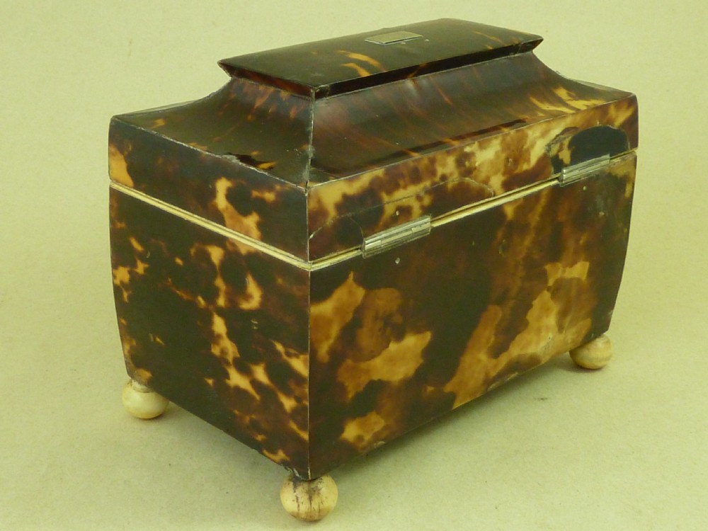 Georgian Tortoiseshell Tea Caddy View III
