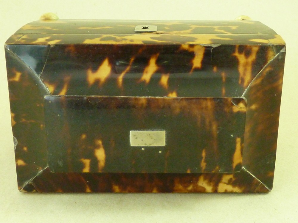 Georgian Tortoiseshell Tea Caddy View VII