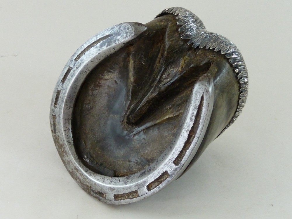 Victorian Horse Hoof Hallmarked Silver Inkwell Jack Sprat 1887 Taxidermy View VII