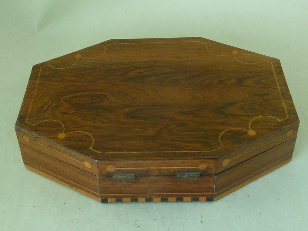Regency Sea Shell Display Box Valentine Inlaid Rosewood Antique View IV