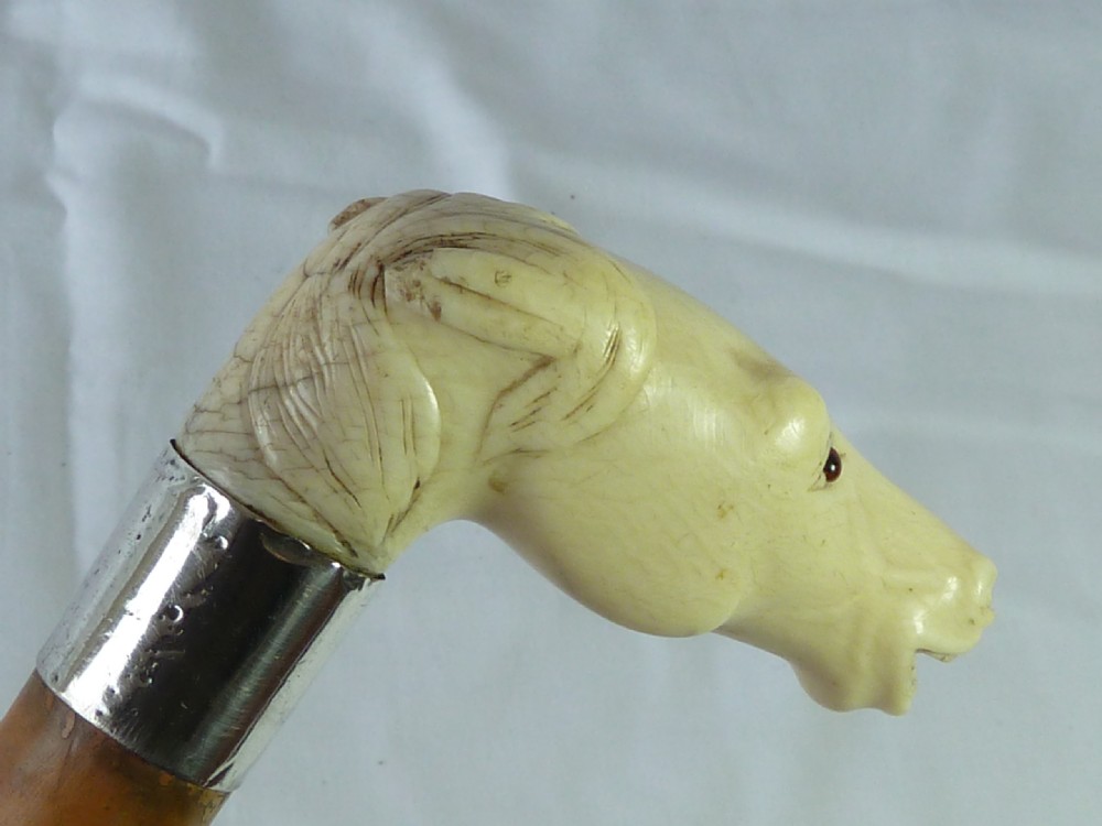 Carved Ivory Horse Head Malacca Walking Stick Novelty Cane  View III