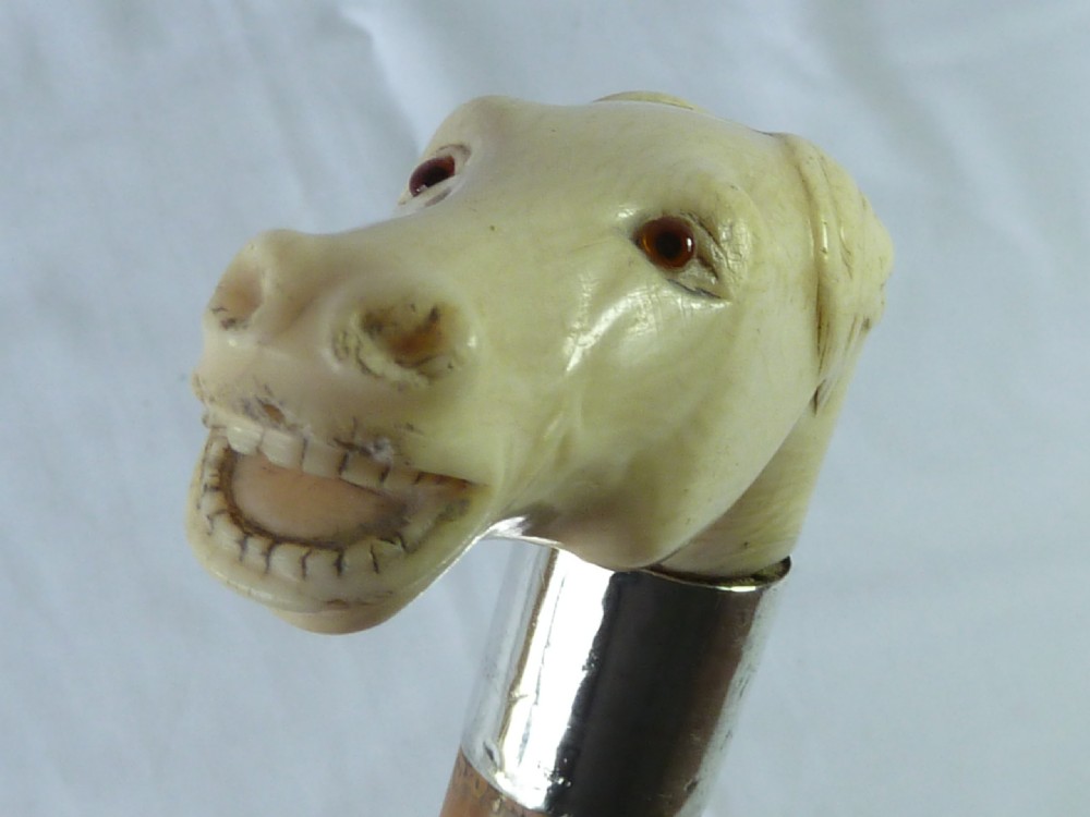 Carved Ivory Horse Head Malacca Walking Stick Novelty Cane  View V