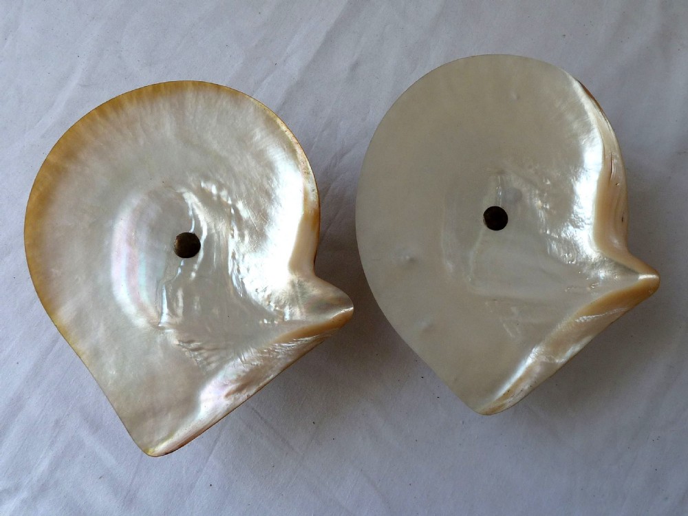 A pair of polished gold-lip mother of pearl shell dishes resting upon intricately carved dark hardwood openwork stands. View VIII
