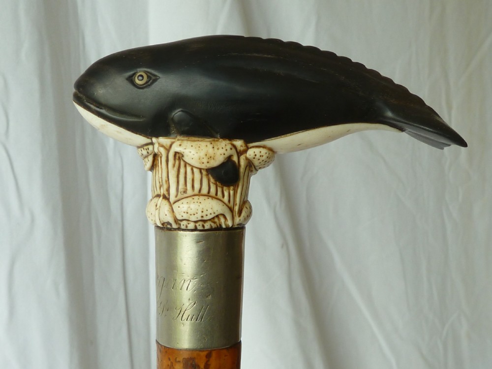 Bone & Horn Handle Walking Stick Carved Novelty Whale View II