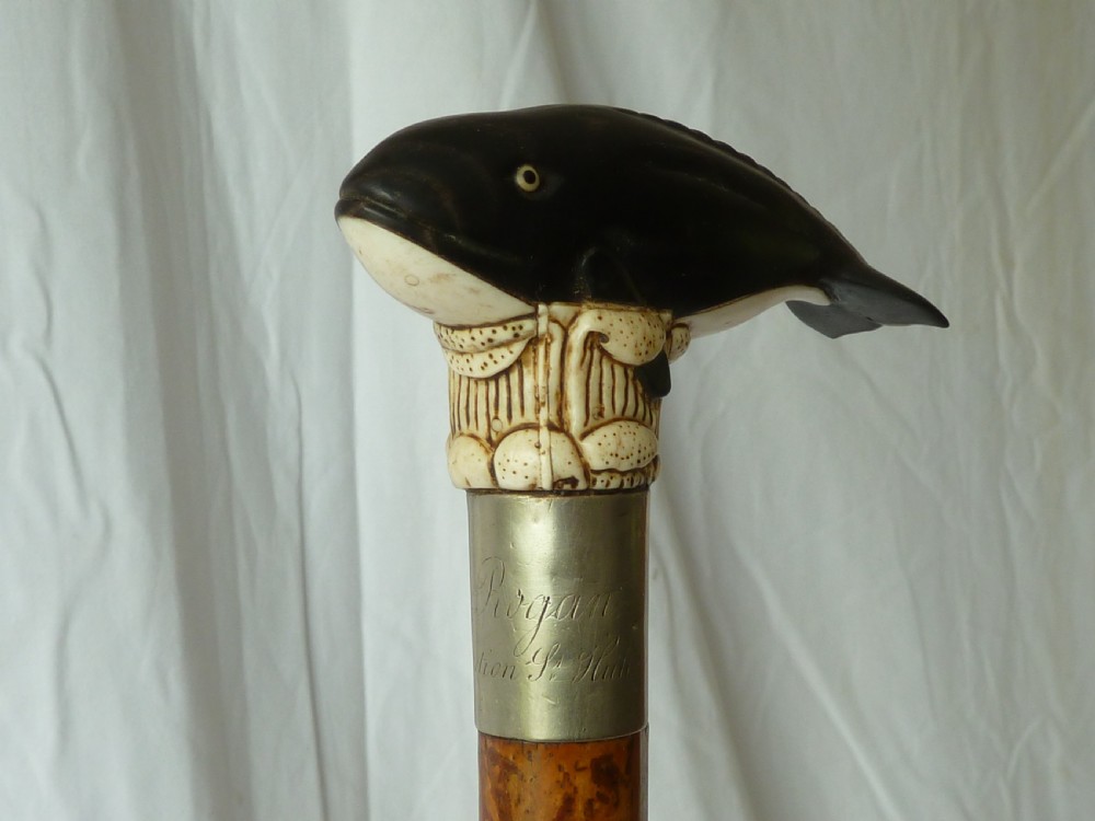 Bone & Horn Handle Walking Stick Carved Novelty Whale View III