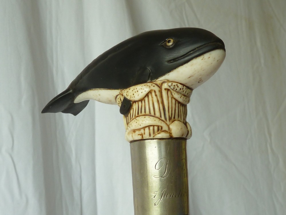 Bone & Horn Handle Walking Stick Carved Novelty Whale View V