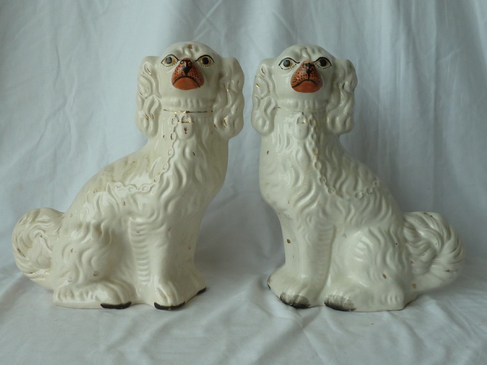 Pair 12
