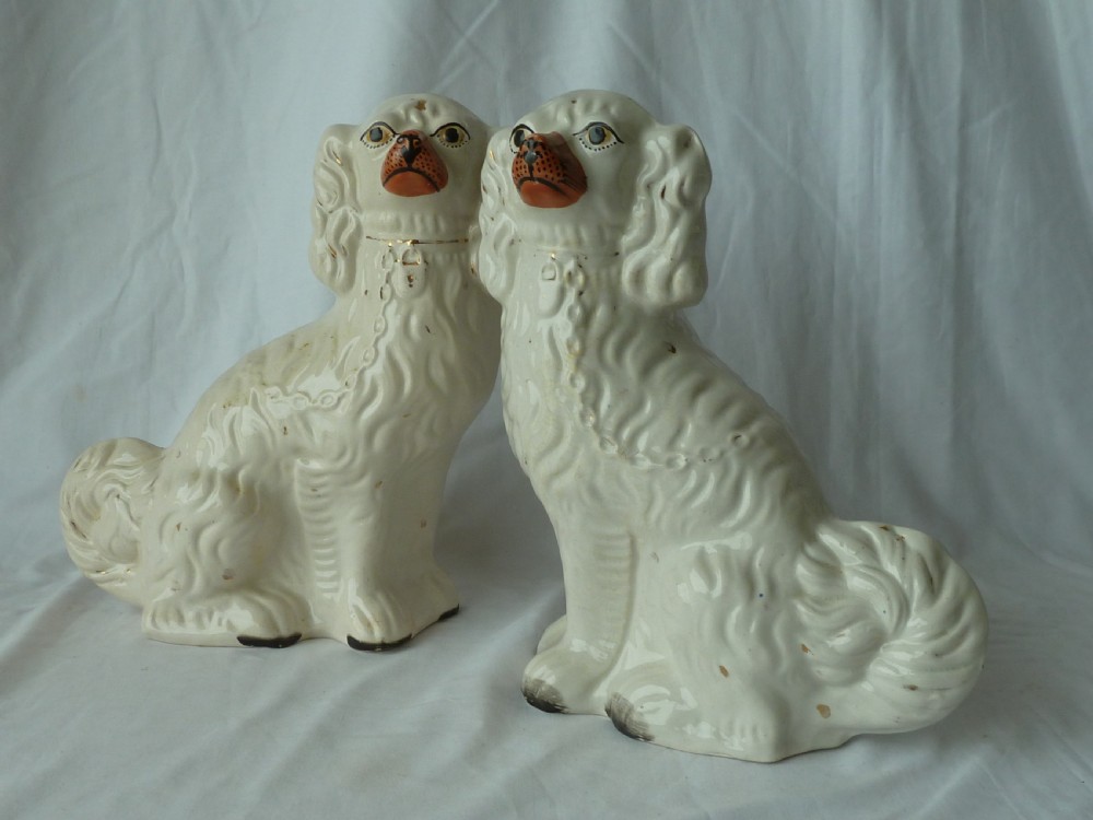 Pair 12