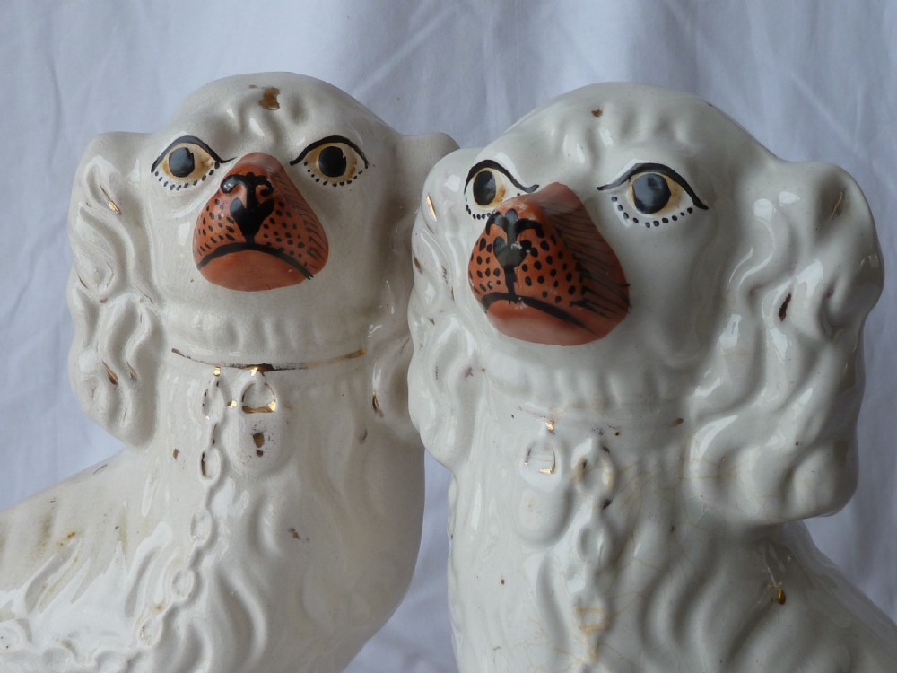 Pair 12