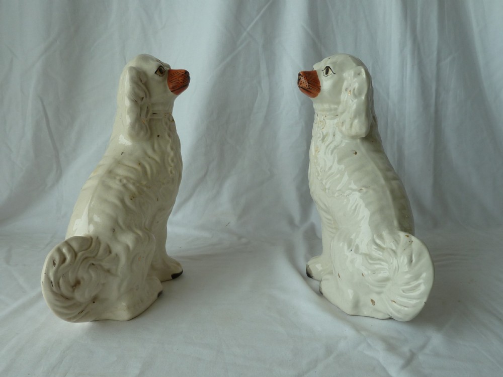 Pair 12
