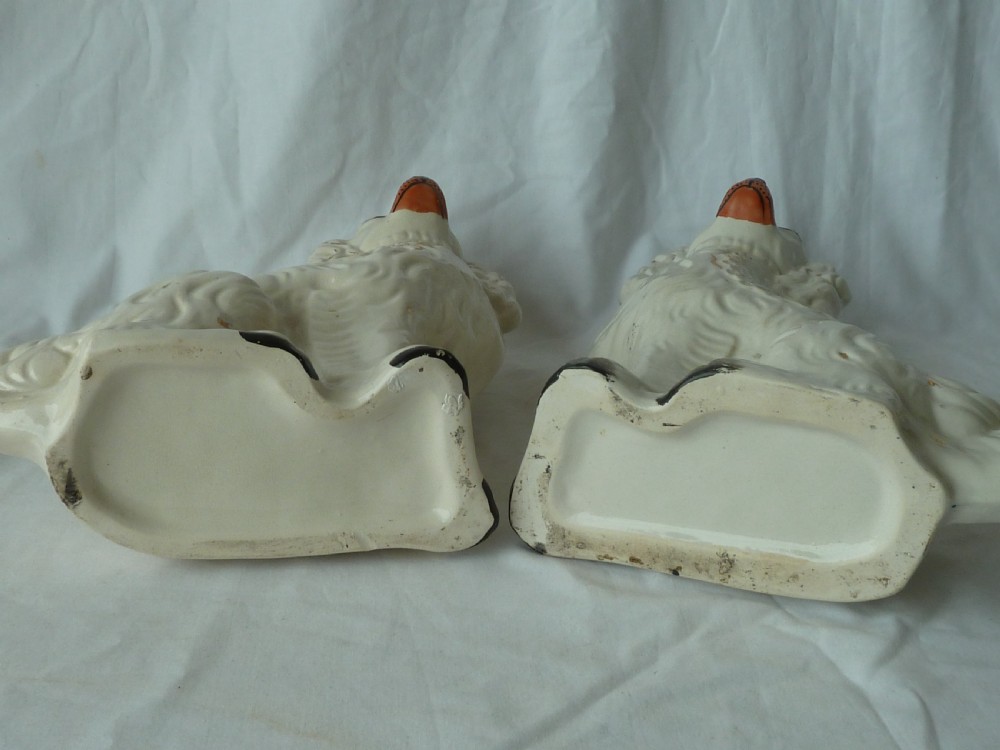 Pair 12