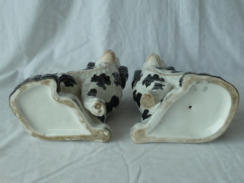 Pair 10