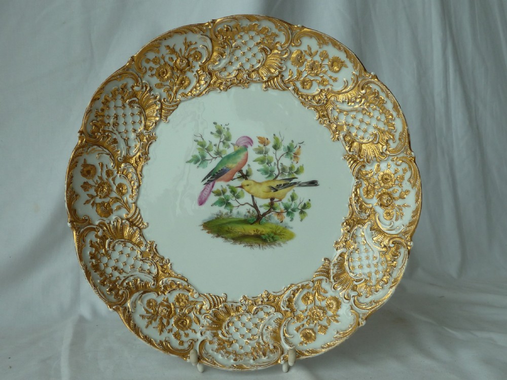 A circular white Meissen porcelain dish featuring a hand-painted illustration of two birds on branches, surrounded by a heavily gilded and pierced Rococo rim.