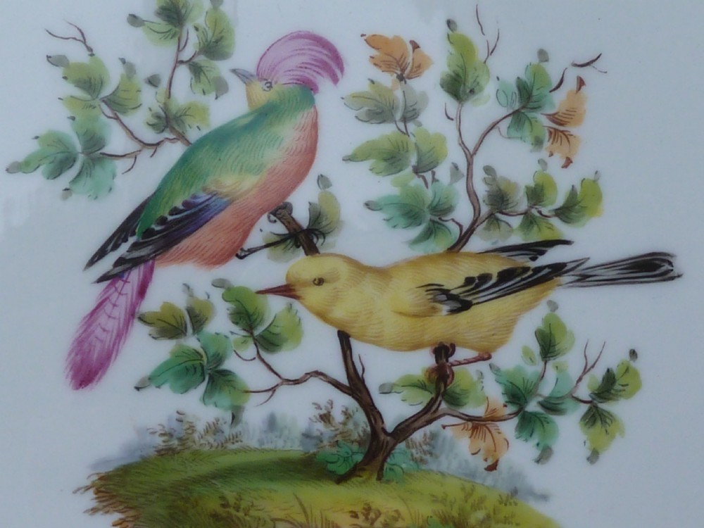 A circular white Meissen porcelain dish featuring a hand-painted illustration of two birds on branches, surrounded by a heavily gilded and pierced Rococo rim. View II