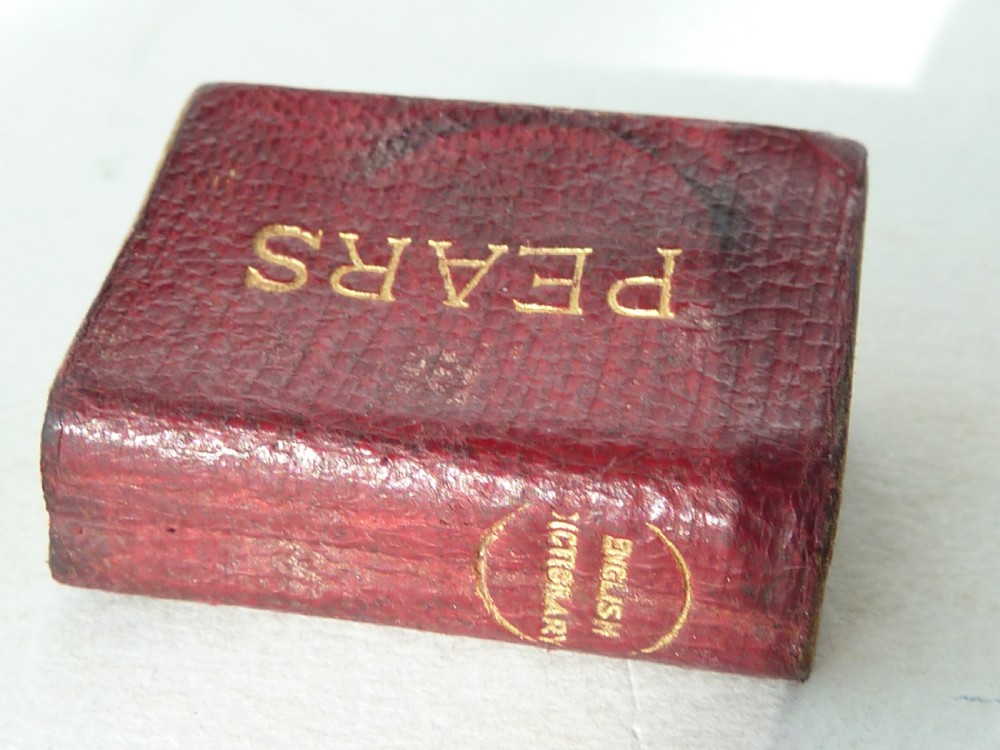 Bryces Miniature Smallest English Dictionary Magnifying Case Pears Victorian View III