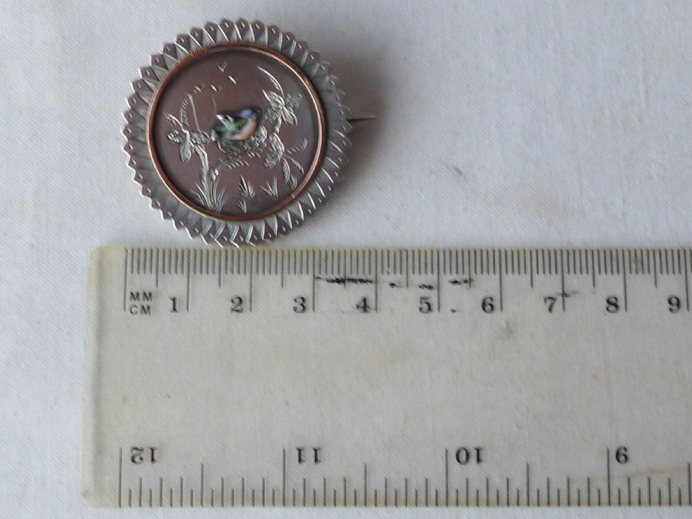 Wheel Brooch Pin Nesting Bird Victorian Enamel Silver Gold Aesthetic View VI