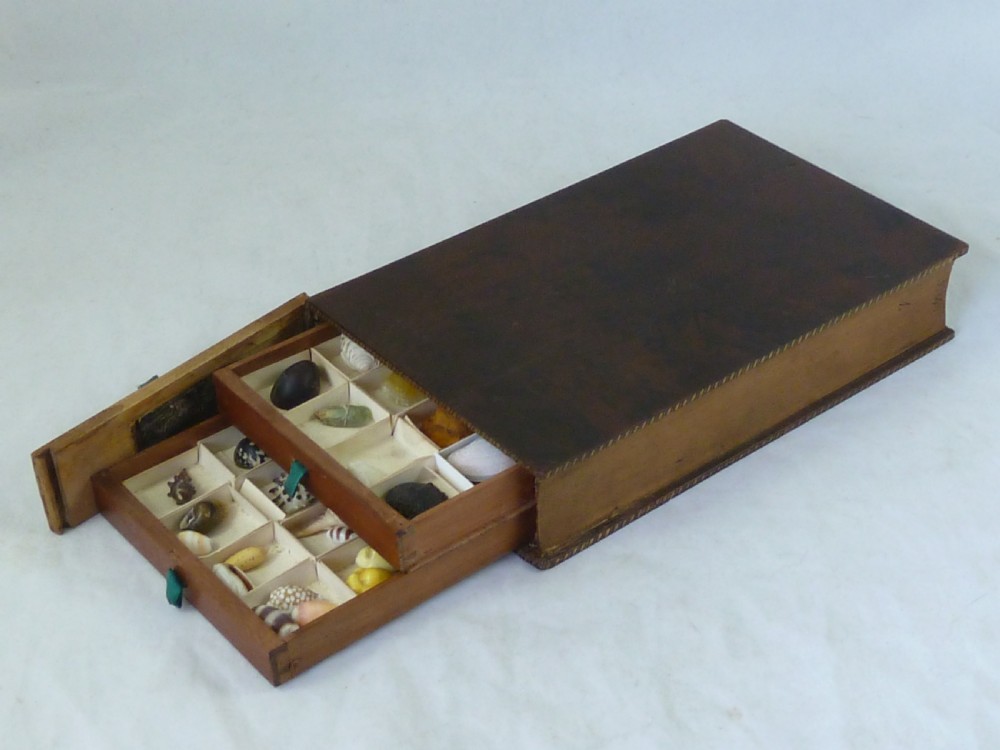Regency Sea Shell Collection Display Book Box Burr Yew Wood Valentine