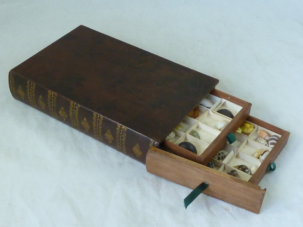 Regency Sea Shell Collection Display Book Box Burr Yew Wood Valentine View II