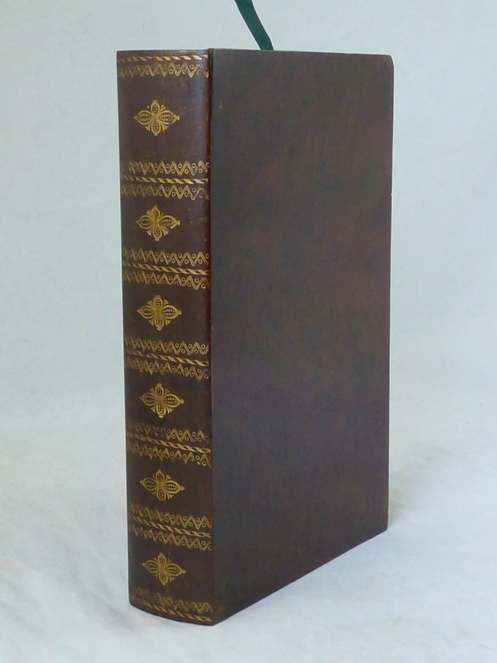 Regency Sea Shell Collection Display Book Box Burr Yew Wood Valentine View VII