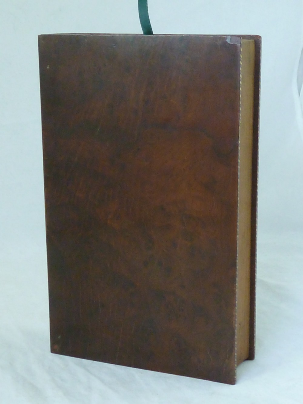 Regency Sea Shell Collection Display Book Box Burr Yew Wood Valentine View VIII