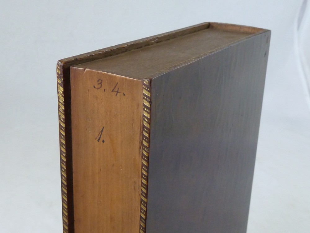 Regency Sea Shell Collection Display Book Box Burr Yew Wood Valentine View IX
