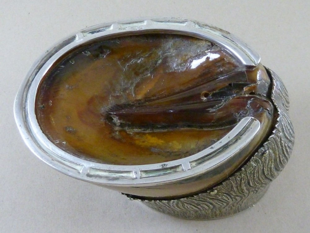 Victorian Horse Hoof Hallmarked Solid Silver Mount Inkstand Dervish 1923 Taxidermy Inkwell View VI