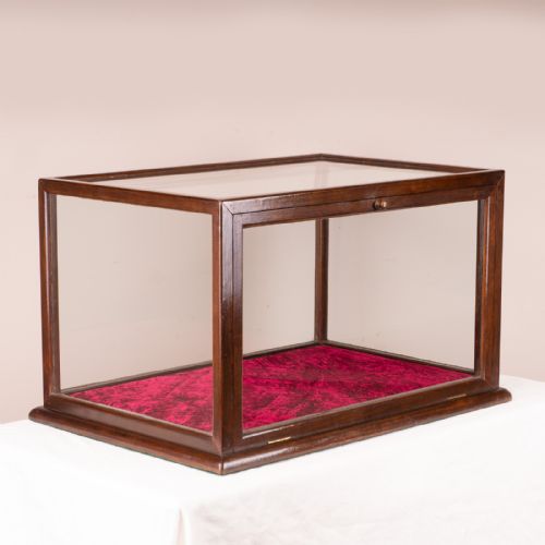 GOOD SIZED DISPLAY CASE - ADDITIONAL PHOTO 2