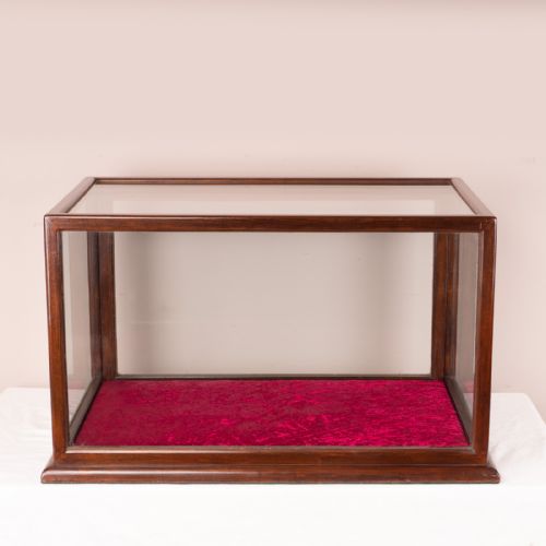 GOOD SIZED DISPLAY CASE - ADDITIONAL PHOTO 4