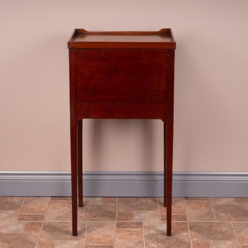 19THC MAHOGANY POT CUPBOARD - ADDITIONAL PHOTO 9